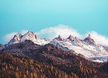 世界杯官网-蓝湾高尔夫球大师赛中国选手张维维获亚军